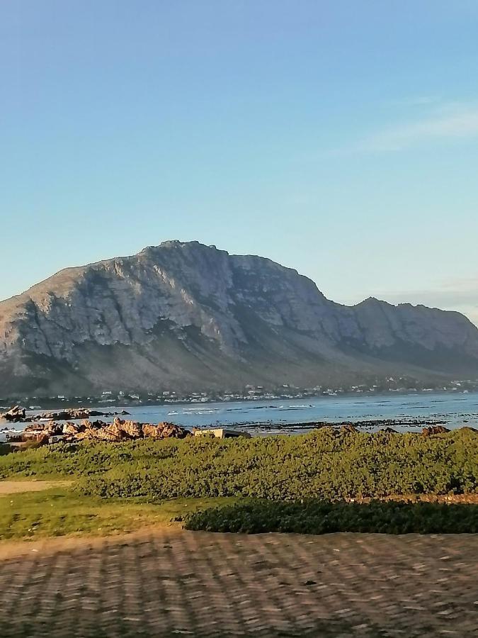 Ferienwohnung Just Chill Betty'S Bay Exterior foto